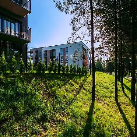 Giluzio Rivjera Vilnius